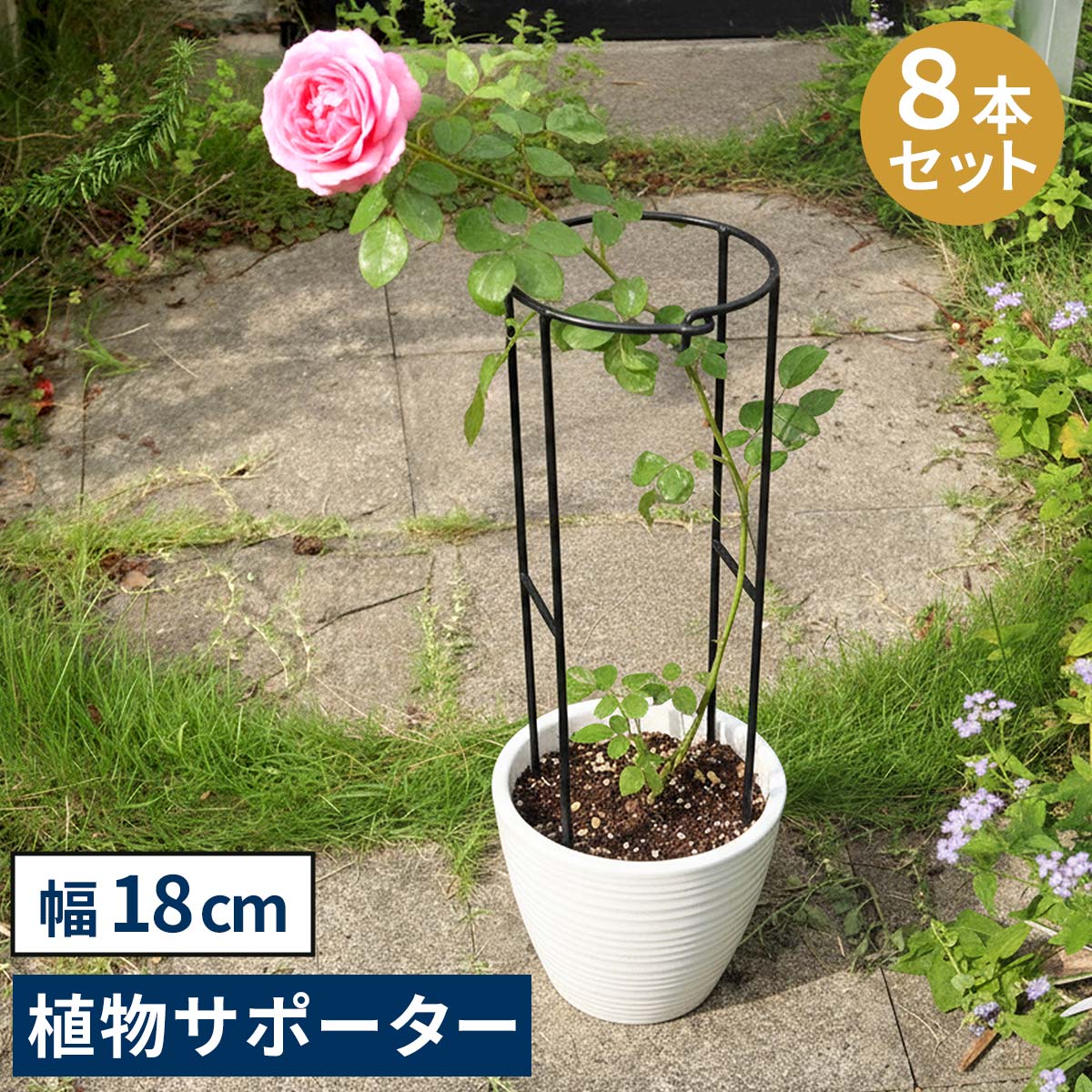 アイアン製植物サポーター 幅18 8本セット IF-N0050-8P 奥行10 高さ50 ハーフリング 倒れ防止 広がり抑制 スチール 鉄製 支柱 園芸 植物サポート フラワーサポート 菜園 花壇