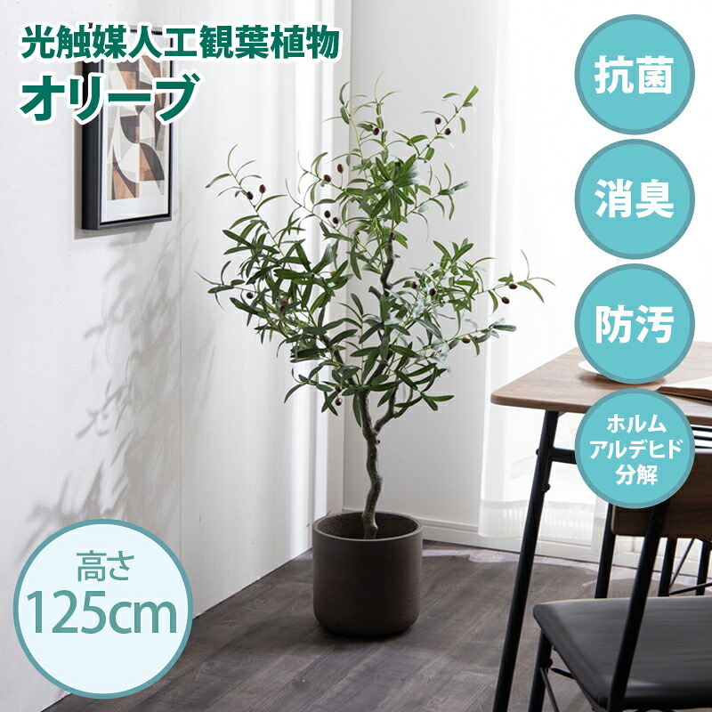 クーポン祭り開催中！光触媒人工観葉植物 fake green オリーブ(約)幅60cm&times;奥行60cm&times;高さ125cm照明光が当たることで消臭・抗菌・防汚・ホルムアルデヒド分解の効果を発揮フェイクグリーン 造花 水やり不要 空気清浄 イミテーショングリーン｜Ｒｏｏｍ　ｎｅｘｔ