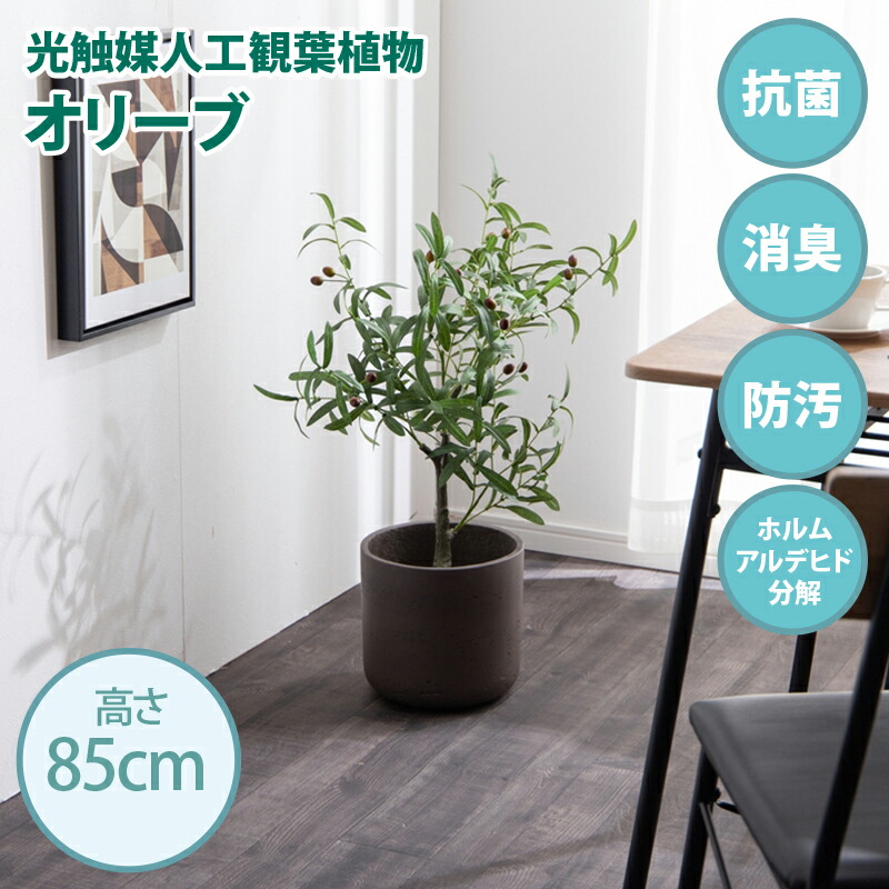 引き換え証儀式用執り行なう中！光触媒人工観葉草木 fake green オリーブ(約)幅35cm×奥ふかさ35cm×高さ85糎点火装置光が当たる物ごとで消臭・抗菌・防汚・ホルムアルデヒド腐蝕の成り行きを見せびらかすフェイクグリーン 造花 水やり不必要 空気の状態汚れのない 作り物緑であること