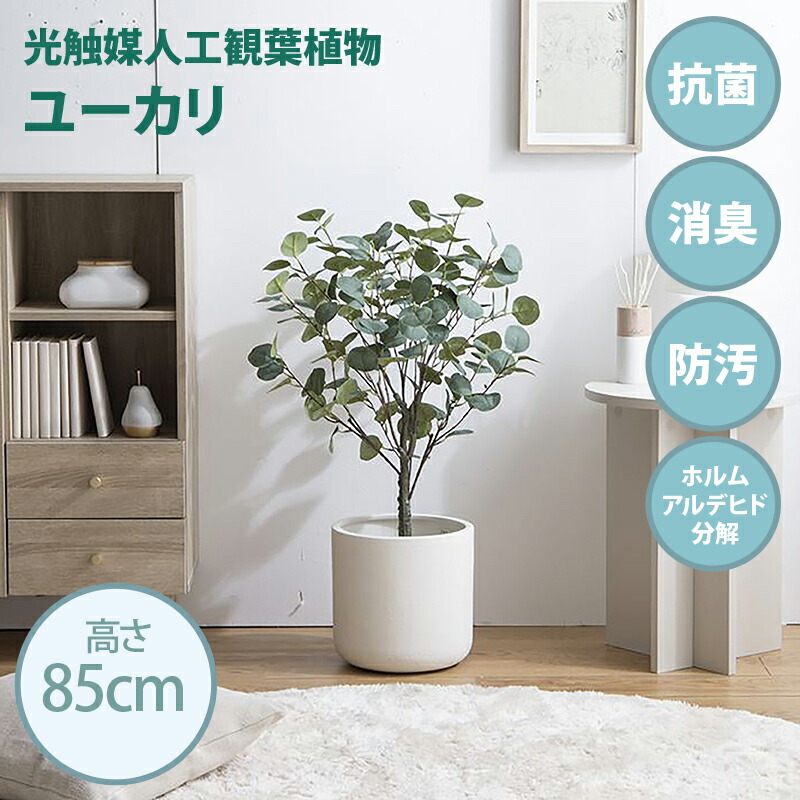 引き換え証儀式用執り行なう中！光触媒人工観葉草木 fake green ユーカリノキ(約)幅50cm×奥ふかさ44cm×高さ85糎点火装置光が当たる物ごとで消臭・抗菌・防汚・ホルムアルデヒド腐蝕の成り行きを見せびらかすフェイクグリーン 造花 水やり不必要 空気の状態汚れのない 作り物緑であること