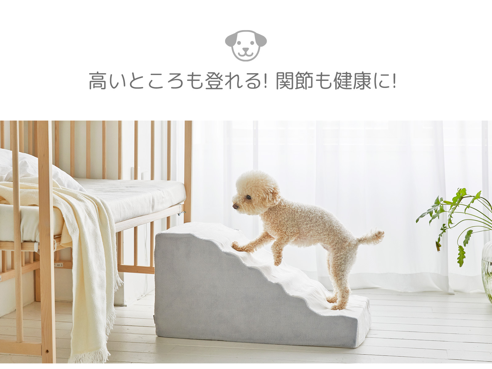 ステップ 犬用運動玩具 ドックステップ ベーシックペットスロープ ステップ 犬 犬用品 ペットステップ 階段 犬用階段 ペット用 ステップ 犬ステップ 犬用 犬階段 ステップ ドックステップ ペット階段 ペットスロープ Roomnhome店ベーシックペットスロープ ステップ 犬用