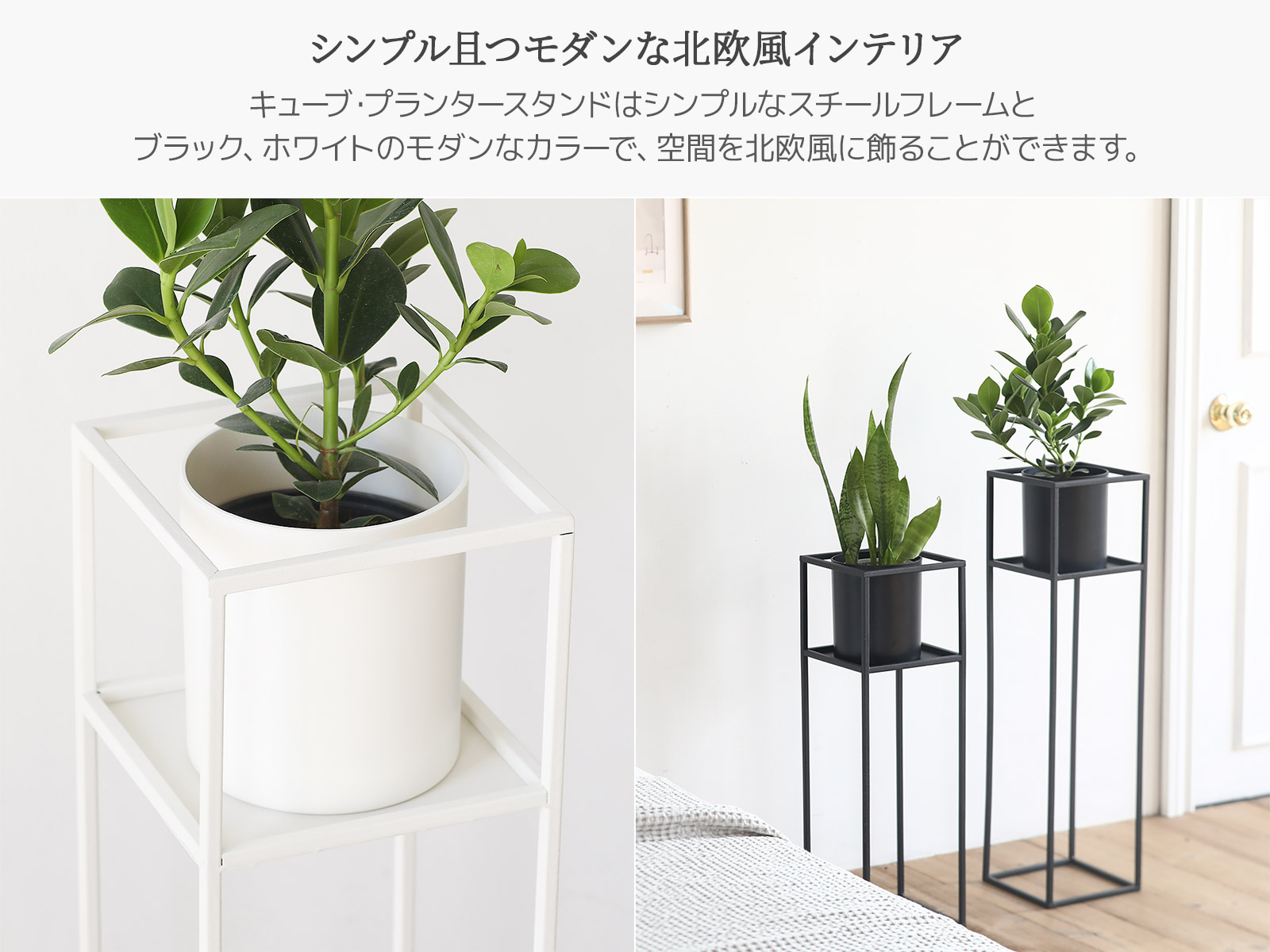 Mサイズ キューブ植木鉢スタンド プランター 鉢植え おしゃれ 植木鉢 フラワーポット 植物 花 植木 ガーデニング 観葉植物 脚付き 2色2サイズ Highsoftsistemas Com Br