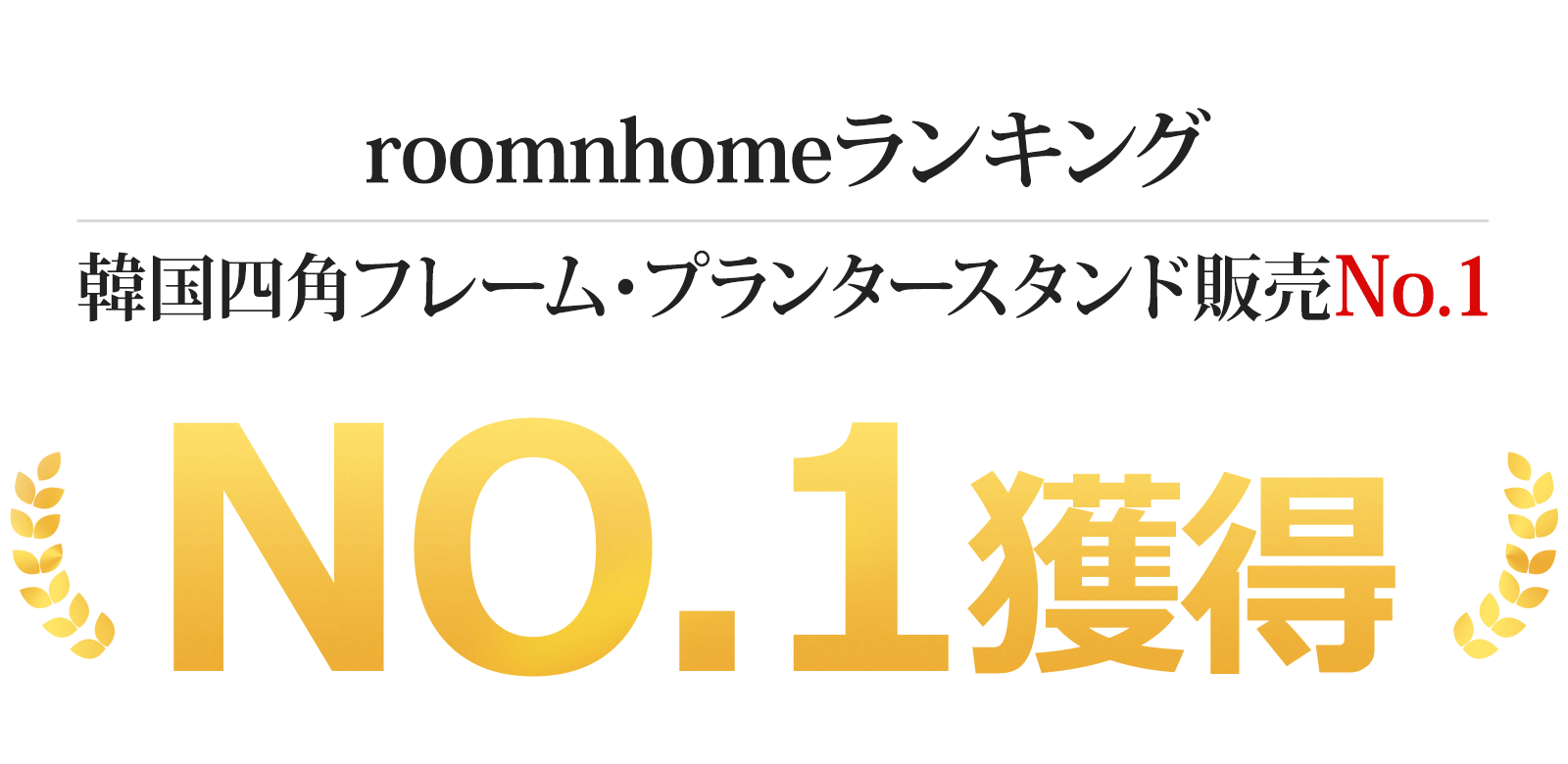 M号 正六面体植木花ポット照明ランプ プランター 鉢植え 恰好いい 植木鉢 フラワーポット 植物 御花 植木 ガーデニング 観葉植物 脛ラッキー 2カラー2サイズ Msgtours Com