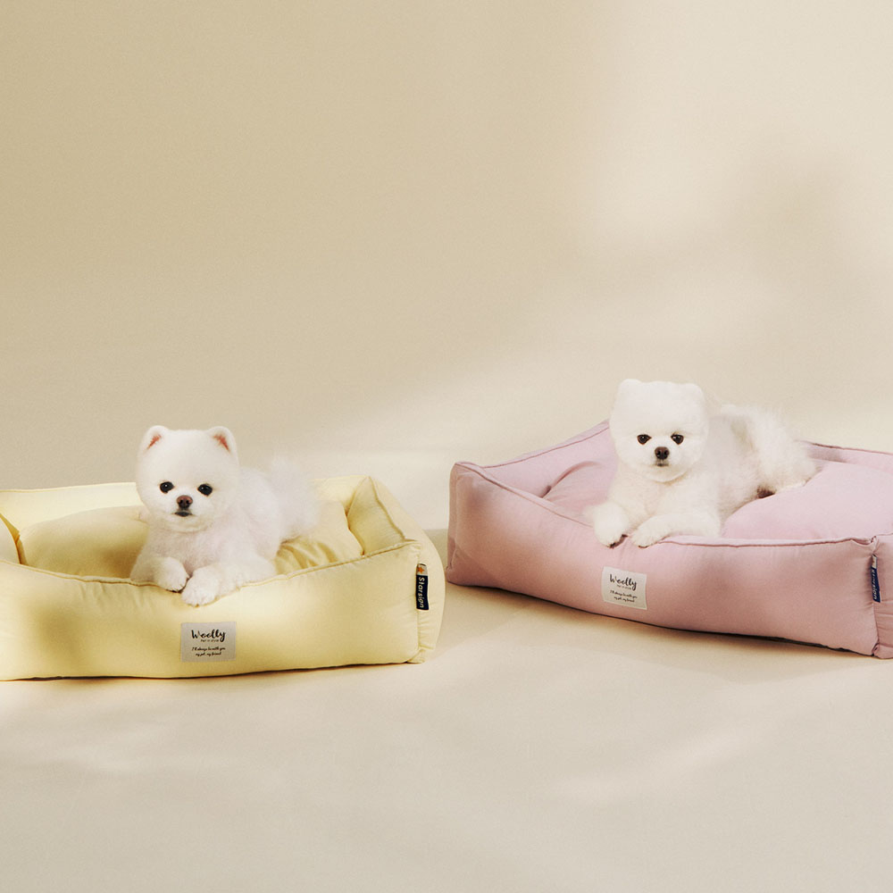 わが家に大型犬が登場 大きなワンコの布団収納クッションケース がフェリシモyou More から新登場 企業リリース 日刊工業新聞 電子版 犬の家コレクション サモエド キャンバス生地装飾的な枕 Ciudaddelmaizslp Gob Mx