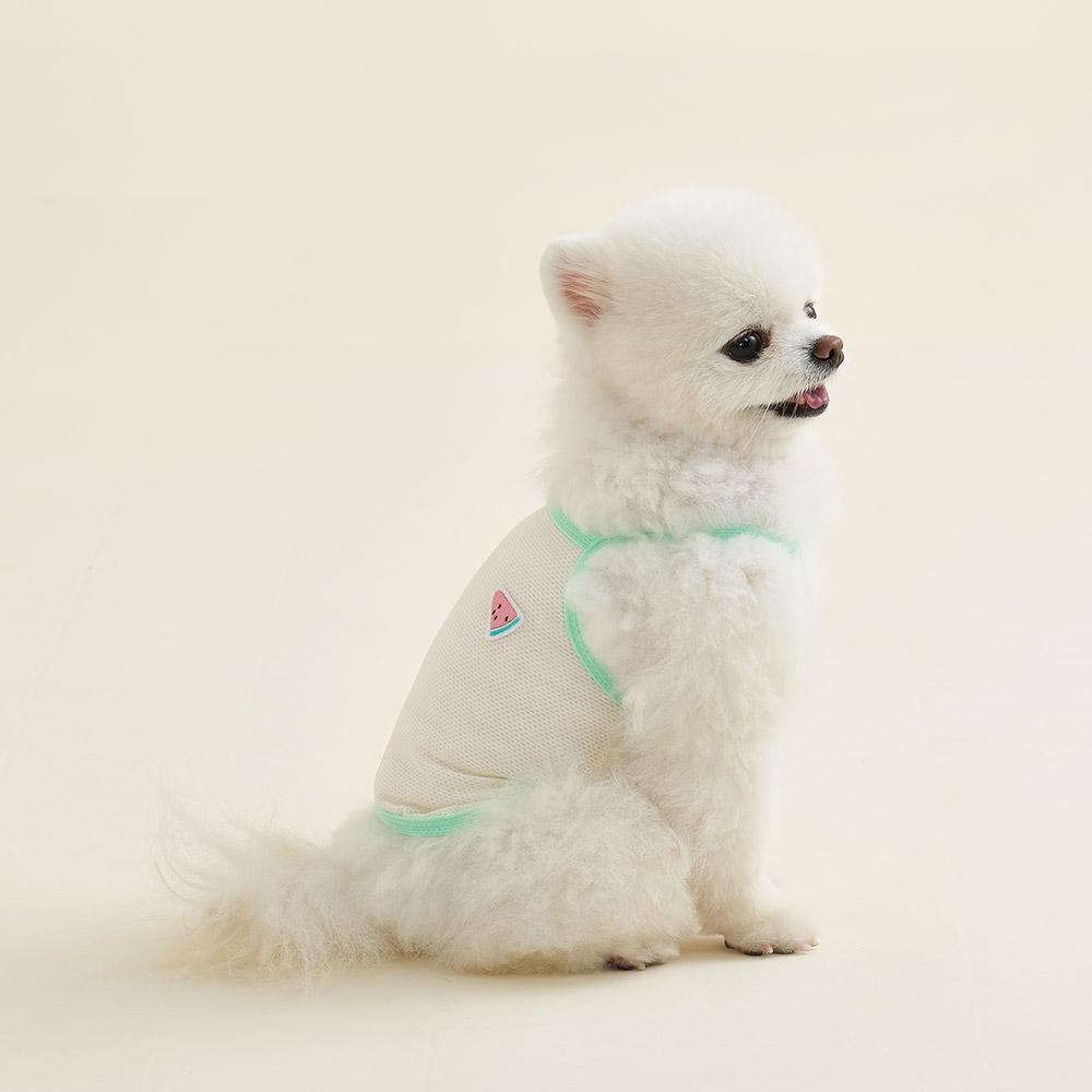 3色 シーシー クロップキャミソール S Xl 夏用 冷感生地 海水浴 犬用