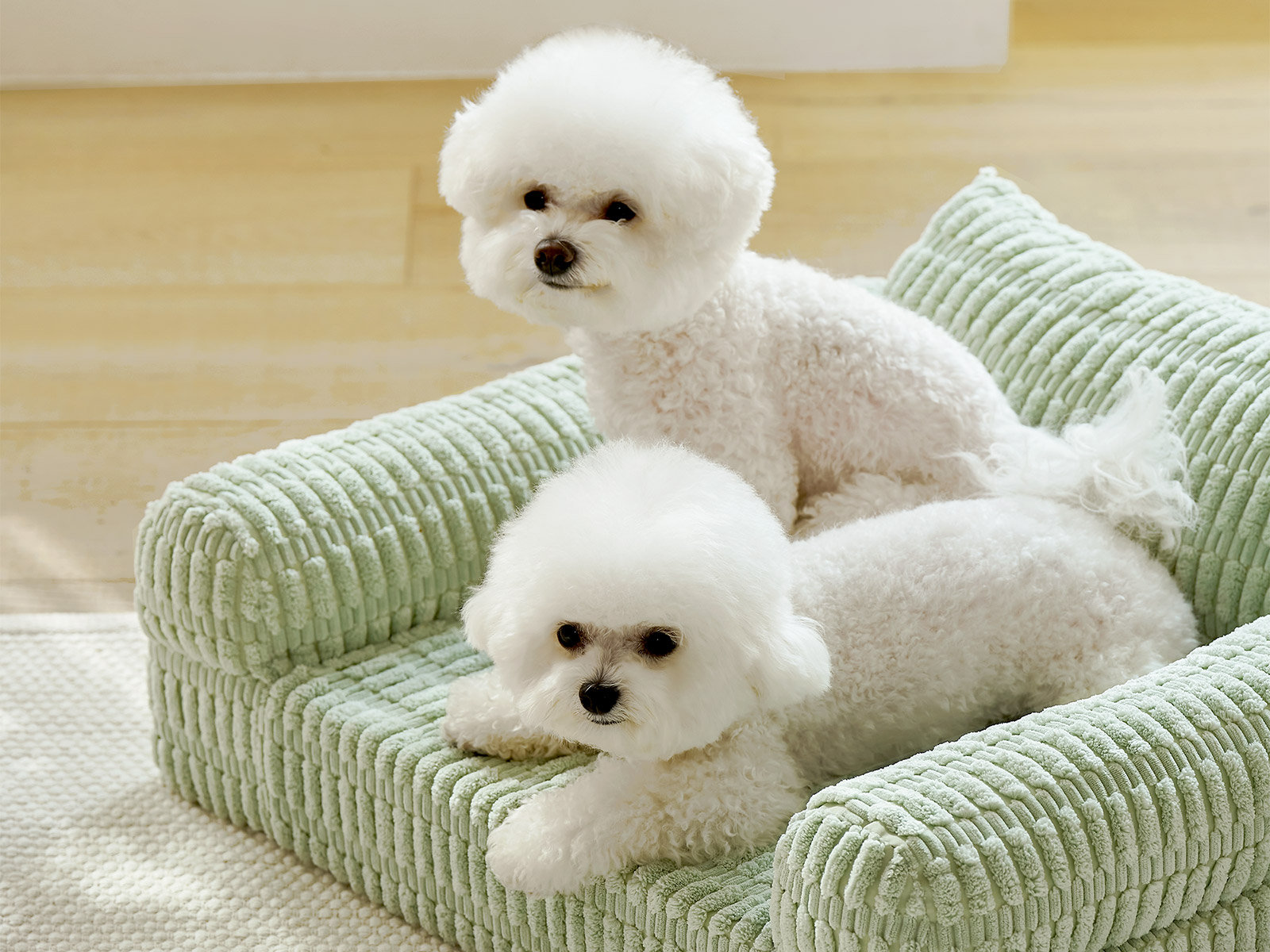 3色] 犬クッション BONGBONG Pet Sofa ペットベッド ペット