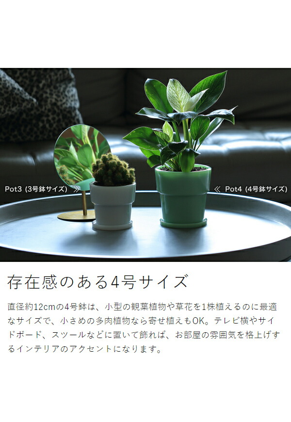 モフモフ　GHPファイヤー鉢verレトロ　4号鉢　2点　植木鉢　作家鉢 塊根植物・観葉植物の植木鉢専門店 「HACHILABO - ハチラボ- 」