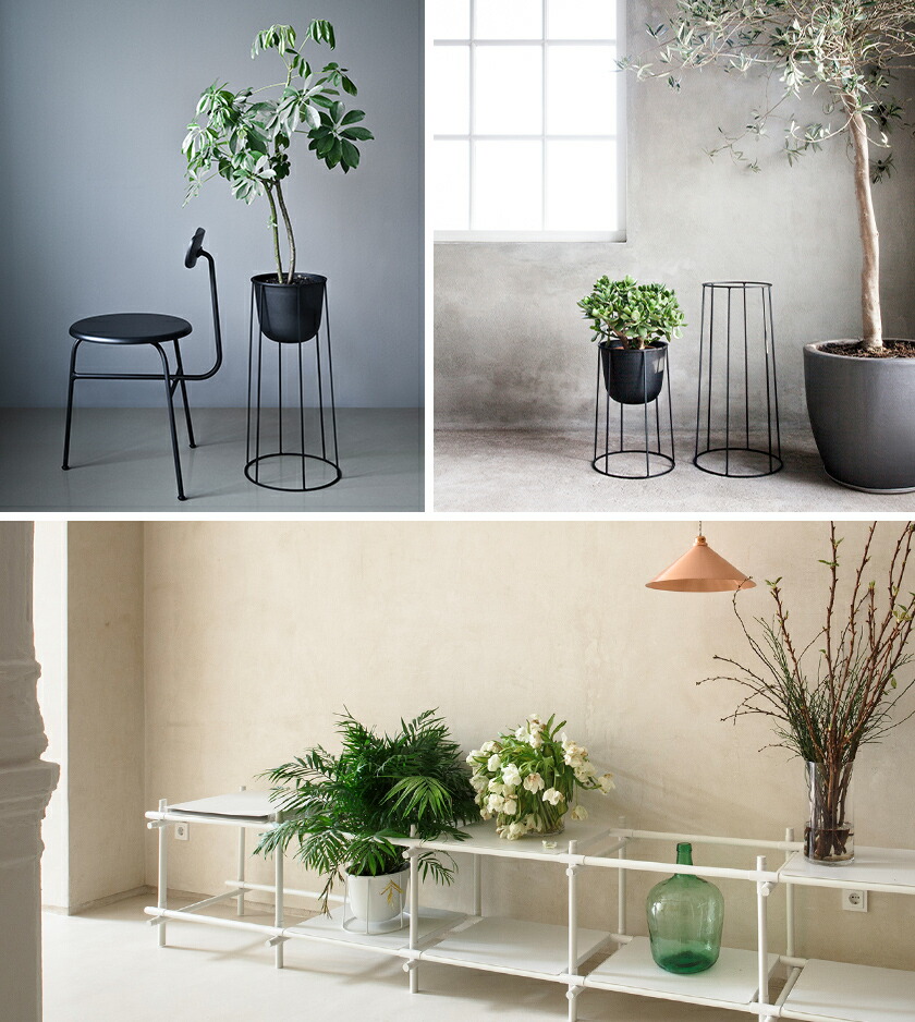 楽天市場 Menu メニュー ワイヤー フレーム 植物 ブラック ホワイト スチール モダン 北欧 インテリア スタイリッシュ おしゃれ リビング オフィス ポイント10倍 送料無料 Menu ワイヤーベース 606 インテリアショップ ｒｏｏｍｙ