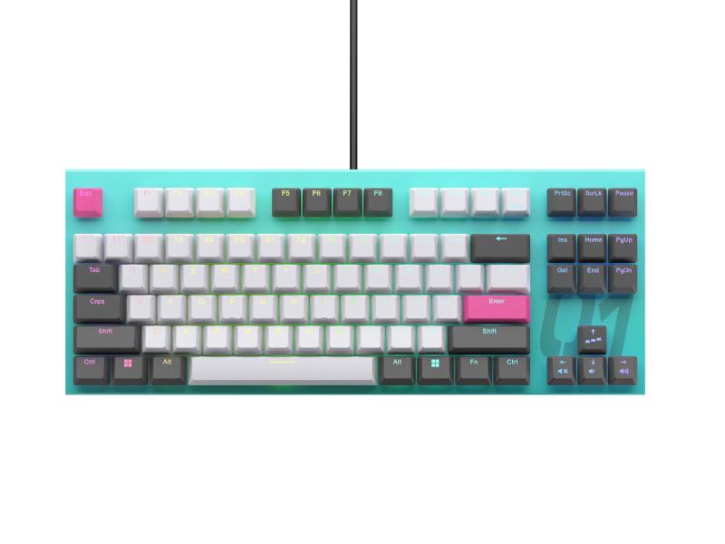 REALFORCE リアルフォース ラピッドトリガー キーボード 東プレ GX1 3603461_0.jpg