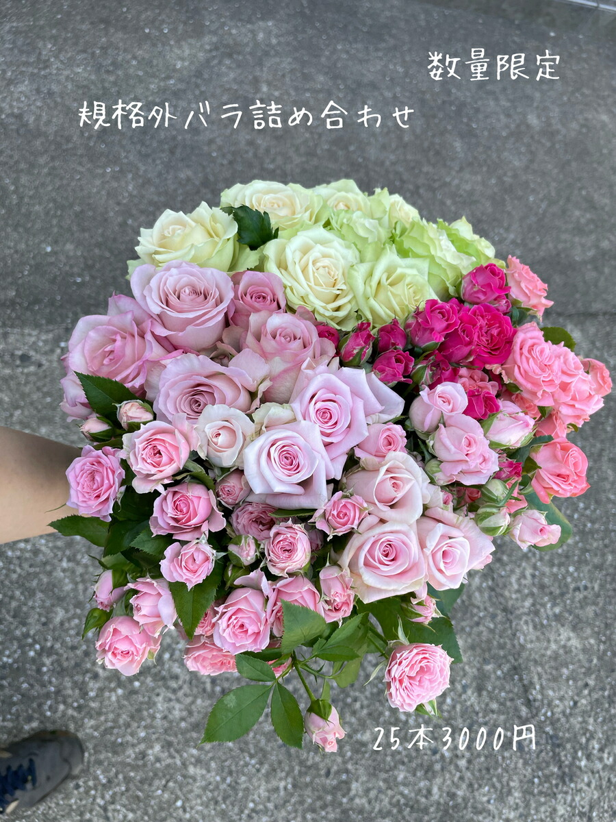 いいスタイル 薔薇生花 30cm50本‼️ arkay.com.ar