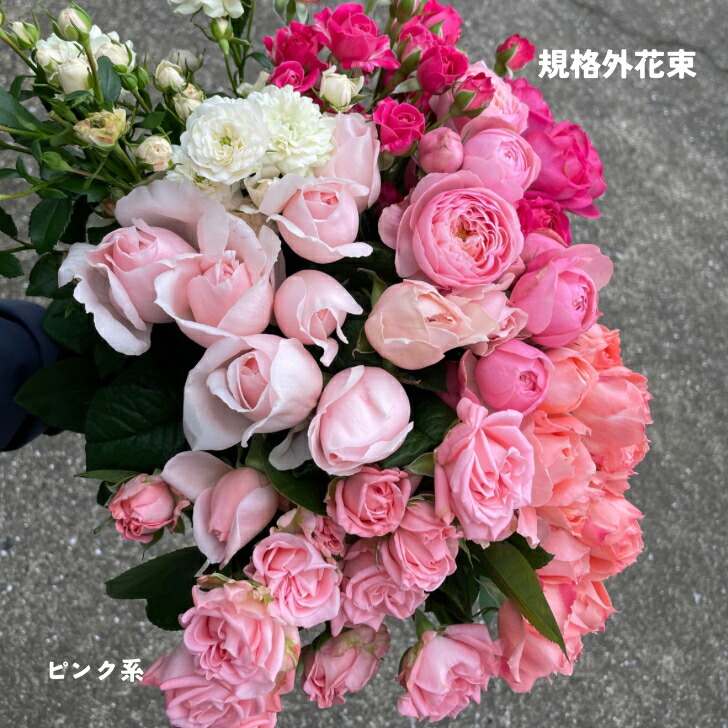 楽天市場】バラの花 詰め合わせ ピンクいろいろ 薔薇 生花 バラ 生花