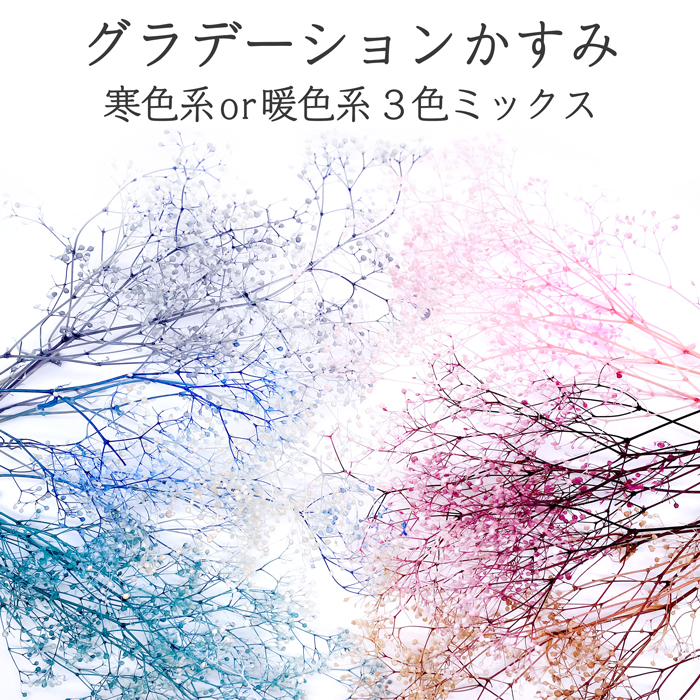 楽天市場 クリックポスト対応 New グラデーションかすみ3色 暖色系or寒色系 プリザーブドフラワー ピンク ローズ ブルー グレー ブラウン ターコイズ 青 茶色 桃色 ハーバリウムやスワッグなどのフラマテ花材 ローズ ガーデン