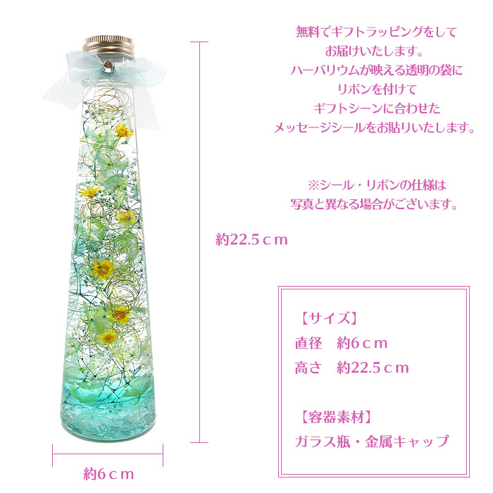 楽天市場 送料無料 プリンセス クォーツ ハーバリウム ディズニー シンデレラ ラプンツェル 白雪姫 アリエル 誕生日 結婚式 結婚祝い 結婚記念日 クリスマス 発表会 花 プレゼント ギフト パワーストーン ローズ ガーデン