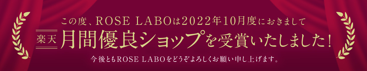 楽天市場】ローズボディミルク 300ml ROSE LABO（ローズラボ） ポンプ式 ボディーローション 乾燥 保湿 スキンケア バラ プレゼント  ギフト | ボディケア 肌 ローズウォーター ボディクリーム ボディークリーム 大容量 ボディローション 保湿クリーム ローズ : ROSE LABO  ...