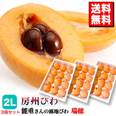 オプティミズム度合い上位入賞 送料無料 瑞穂 腕前重さんの露地びわ2l 3入れ物揃え 房州びわ 露地びわ 千葉県南房総創製 代引き不可 同梱不可 Fundterra Com Br