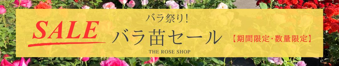 楽天市場】 季節のイベント > バラ祭り！バラ苗セール : バラ