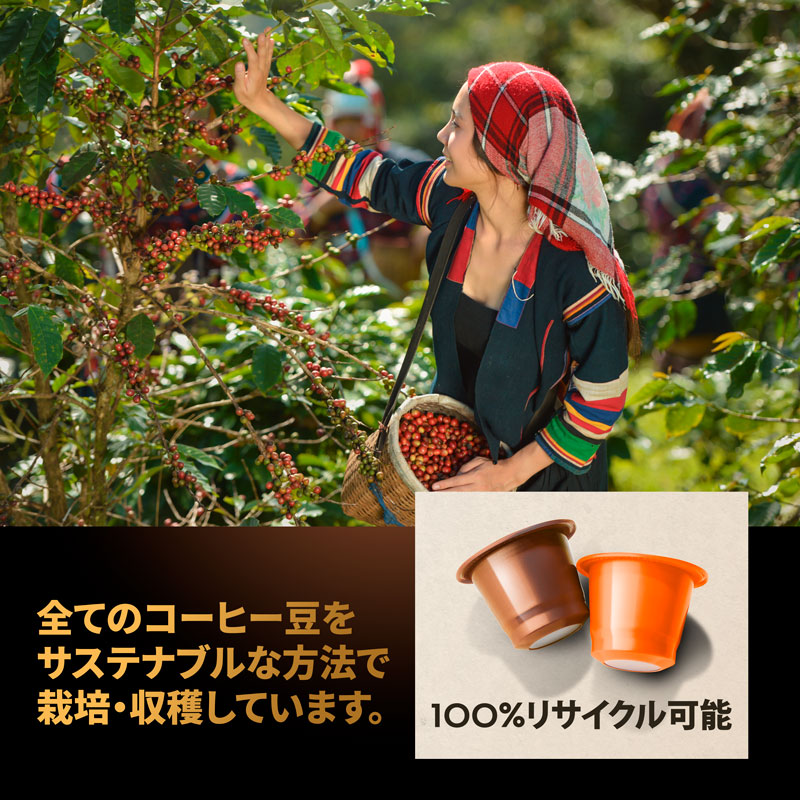 ー品販売 公式 ネスプレッソ 互換カプセル 60杯分 コーヒー ロッソカフェ フレーバーパック 3種×20カプセル バニラ キャラメル  クリームブリュレ オリジナル コーヒーマシン用 Rosso Caffe カプセル 互換 Nespresso capsule 送料無料  arabxxnxx.com