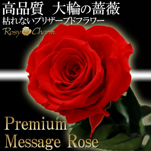 99%OFF!】 メッセージローズ プリザーブドフラワー 大輪 赤いバラ 1本 誕生日 プレゼント プロポーズ 結婚 記念日 卒業 お祝いに贈る 薔薇1輪  花束 メッセージ入り 枯れない 花 メッセージフラワー ギフト 高級 ボックス入り バラ fucoa.cl