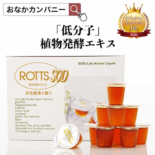 SODエンザイム ドリンク ROTTS SOD (10ml×66分けまえ入)   低分子 草木醗酵抽出エキス 流動体 ポーションSOD様食料雑貨類 草木醗酵エンザイム 麦糠 大豆 納豆菌 醗酵物 ルイボスティー フィチン酸 イノシトール 不毛処方箋 思わしい守りつづける 美容 ソネット ROTTS ロッツ