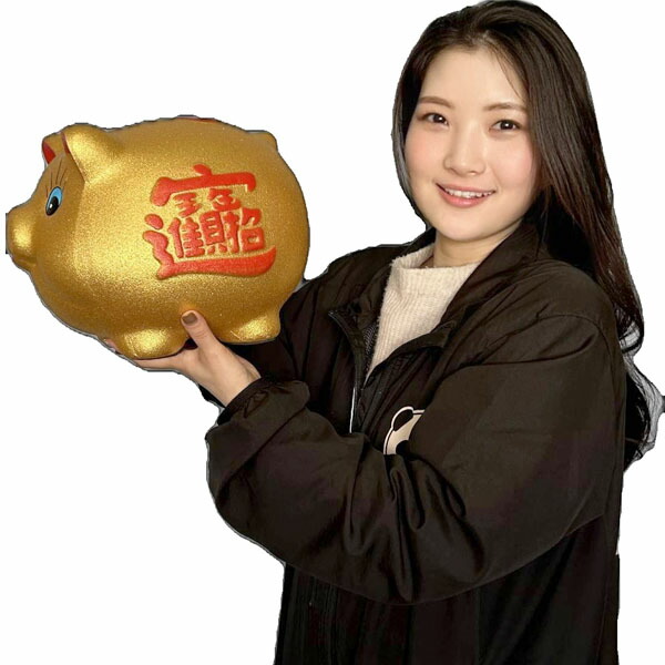 楽天市場】金豚 金ぶた 貯金箱・9inch（19cm）【送料無料】（沖縄別途
