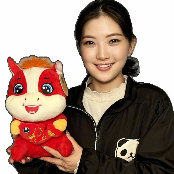 楽天市場】パンダやわらかヌンチャク【送料無料】（沖縄別途700円