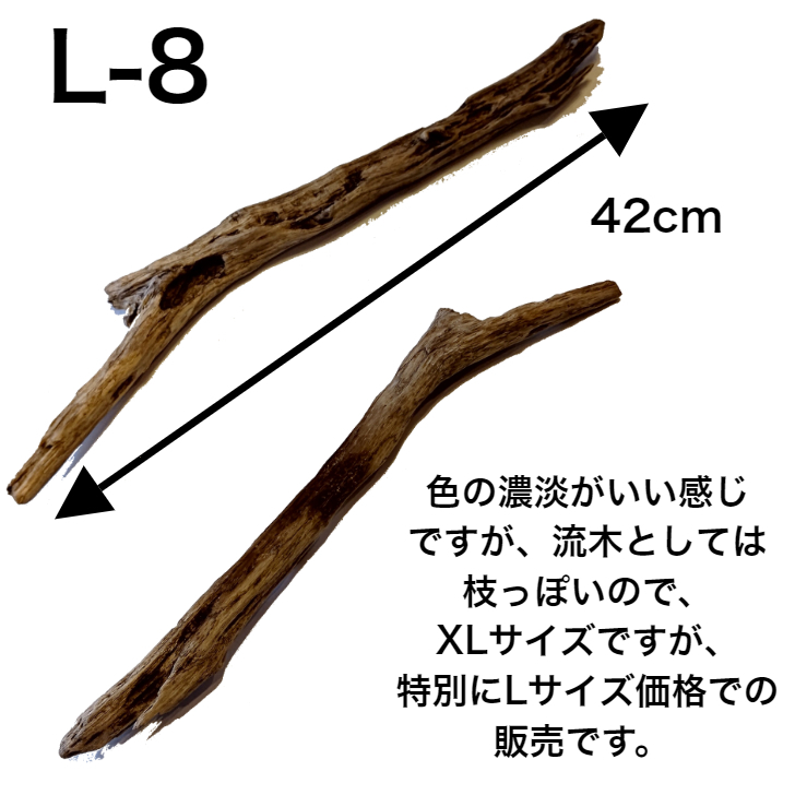 楽天市場 流木 L 大 送料無料 天然流木 形が選べる 流木 ディスプレイ 自然 国産 Diy 水槽 インテリア 直線 株 塊 アクアリウム 店舗 什器 送料込み 流木 アク抜き済 乾燥 大 中 小 S 流木 特大 日本産 曲 まっすぐ