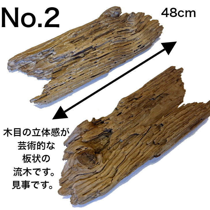 遷り変り レア 流成木 大学校型 特大 流木 置サブスタンス 開 木 インテリア 蔵 陳列窓 ガーデニング ガーデン すごい 棍棒 オブジェ 変恰好 棒線 根子 塊体 単刀直入 根元 空あき 根っから 野性 木 形が選べる 国産 Diy アクアリューム アクアリウム 送料無料