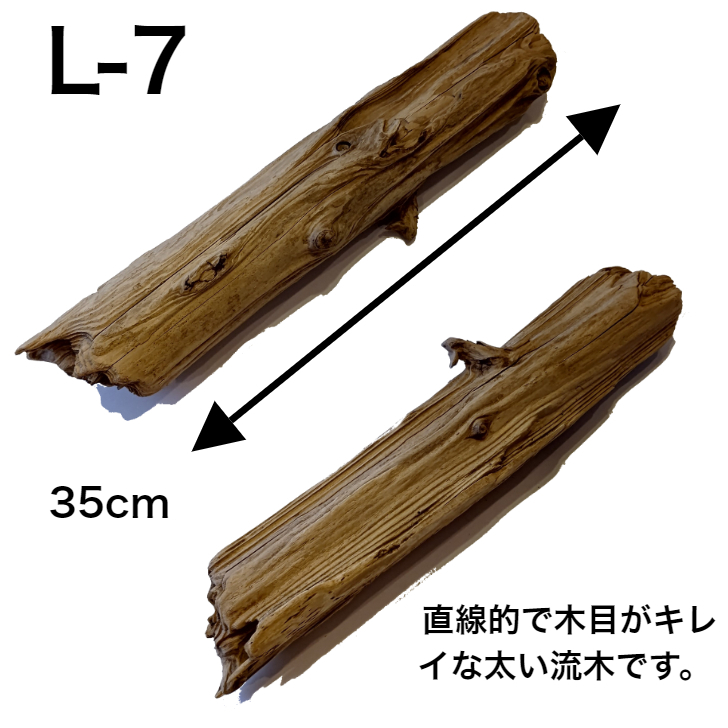 楽天市場 流木 L 大 送料無料 天然流木 形が選べる 流木 ディスプレイ 自然 国産 Diy 水槽 インテリア 直線 株 塊 アクアリウム 店舗 什器 送料込み 流木 アク抜き済 乾燥 大 中 小 S 流木 特大 日本産 曲 まっすぐ