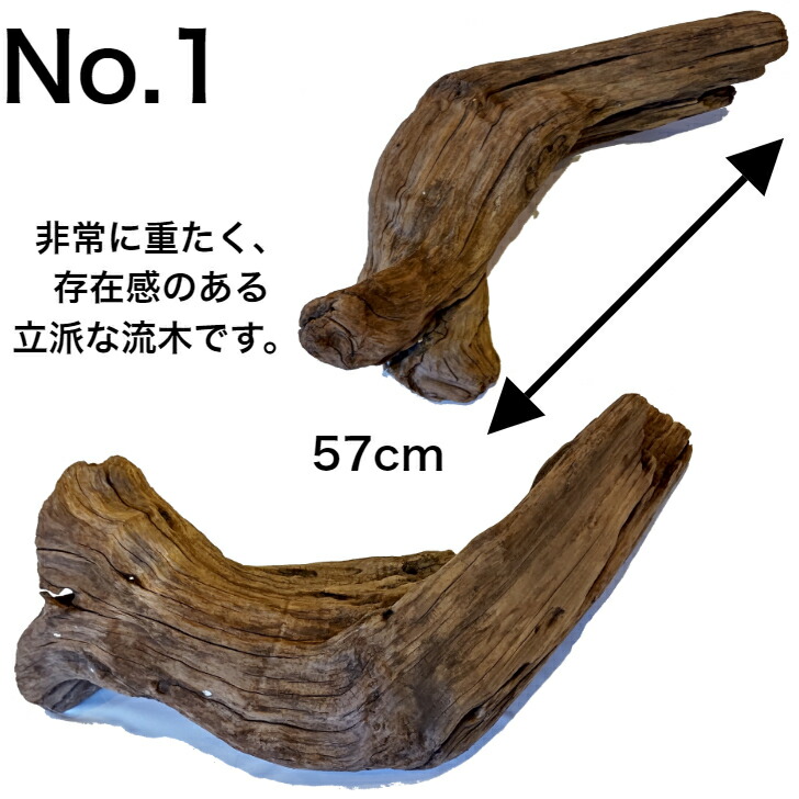 楽天市場 10 Off 変形 レア 流木 大型 特大 流木 置物 玄関 木 インテリア 店舗 ディスプレイ ガーデニング 庭 巨大 棒 オブジェ 変形 直線 株 塊 まっすぐ 根っこ 穴あき 天然 自然 木 形が選べる 国産 Diy 水槽 アクアリウム