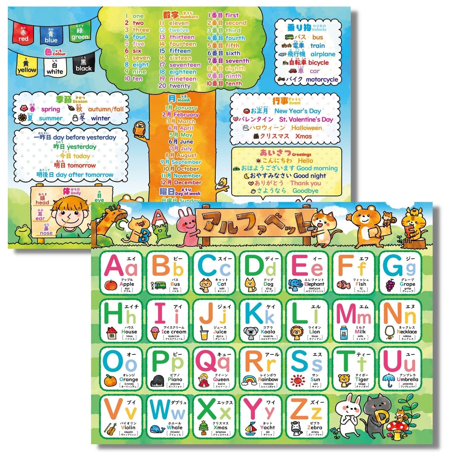 【楽天市場】【送料無料】 アルファベット表 ABC表 お風呂ポスター アルファベット 英単語 お風呂 学習 ポスター フォニックス B3サイズ ...