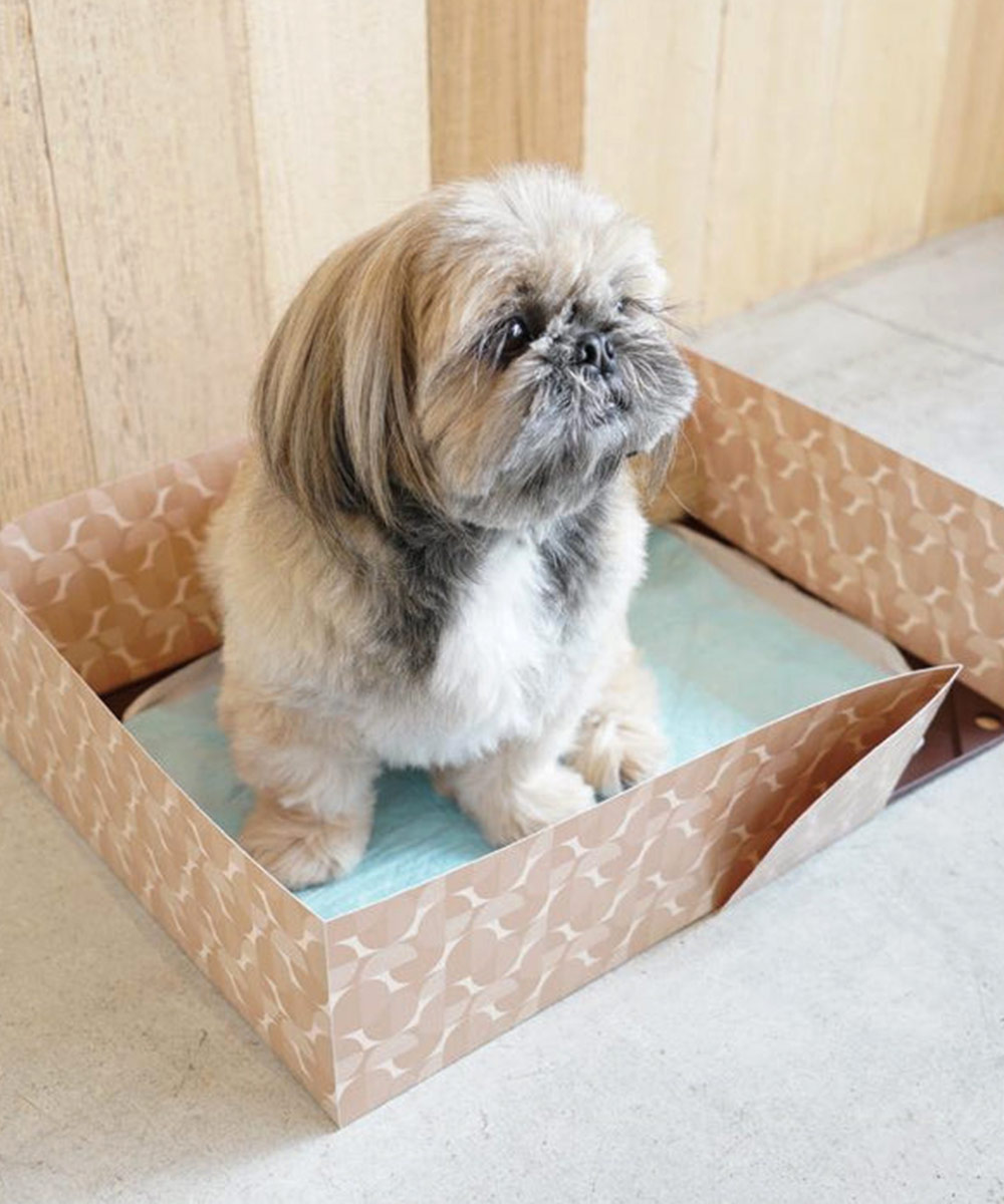 ワンコトイレマットパーテーションl Pts Tpl Lbr Hario いぬ おしっこ おしっこマット トイレ トイレグッズ トイレタリー トイレマット トイレ用品 トレイ ペット ペットグッズ ペットトイレ ペット用トイレ ペット用品 マット 日本製 犬 犬トイレ 犬用 犬用トイレトレー