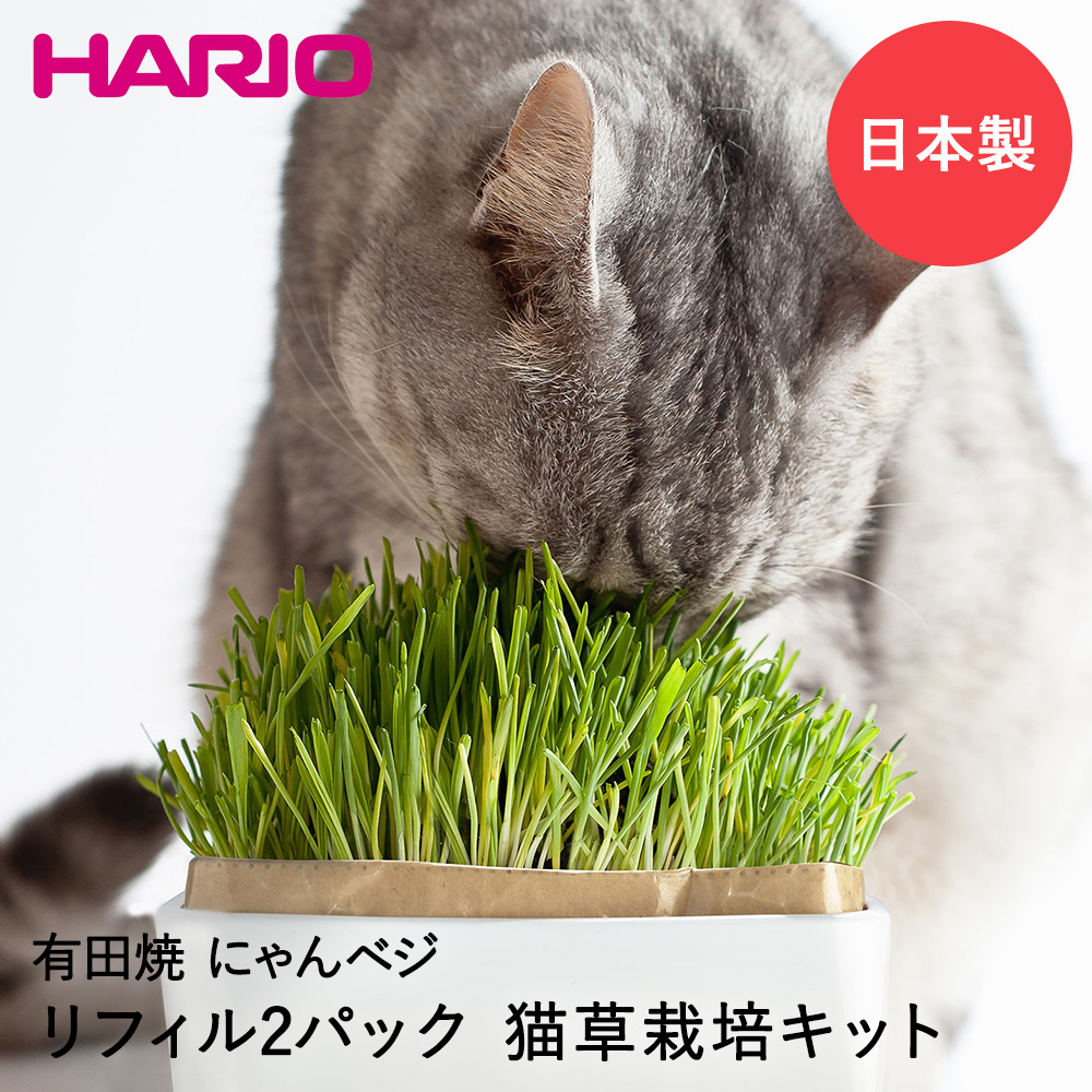【楽天市場】猫草栽培キットにゃんベジセットＮ 猫草 HARIO 日本製
