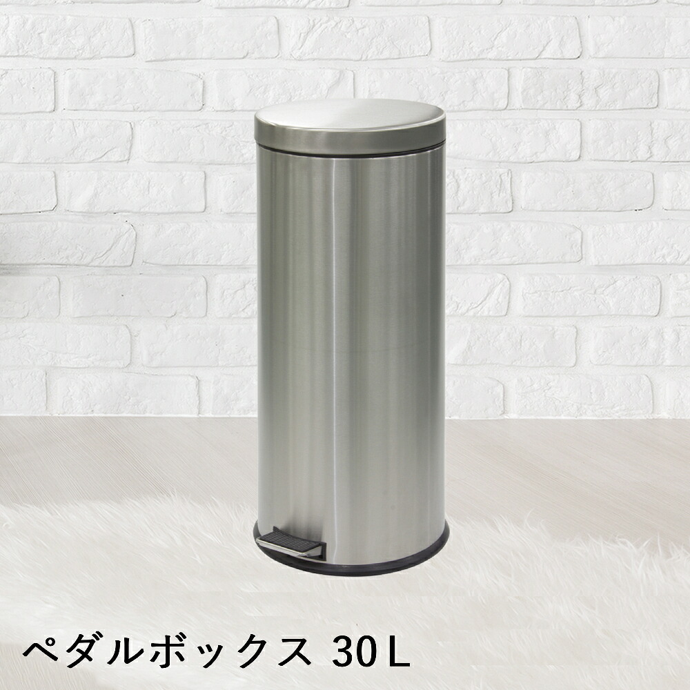 【ポイント10倍 4/11(土)00:00～4/12(日)23:59まで】 【 法人限定 】 ステンレス製 ペダルボックス 30L DS-238-530-0 TERAMOTO テラモト | ゴミ箱 ふた付き ごみ ゴミ ペール ごみ箱 蓋付き フタ付き ダストボックス ペダル トラッシュボックス くず入れ カン ス 10,132円