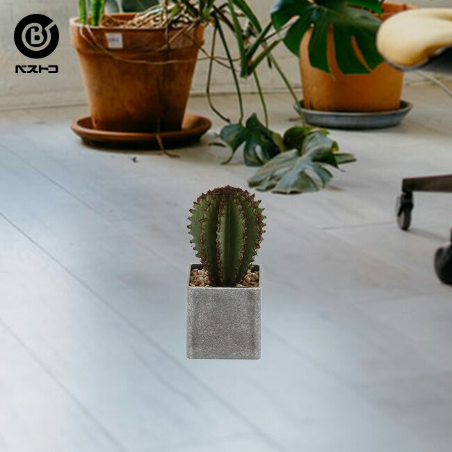 印象のデザイン フェイクグリーン スクエアポット No3 グレー 観葉植物 卓上 フェイク ミニ 人工観葉植物 造花 サボテン 多肉植物 小さい セメント鉢 インテリアグリーン アーティフィシャルグリーン おしゃれ プレゼント ギフト 小型 室内 人工 グリーン インテリア 植物