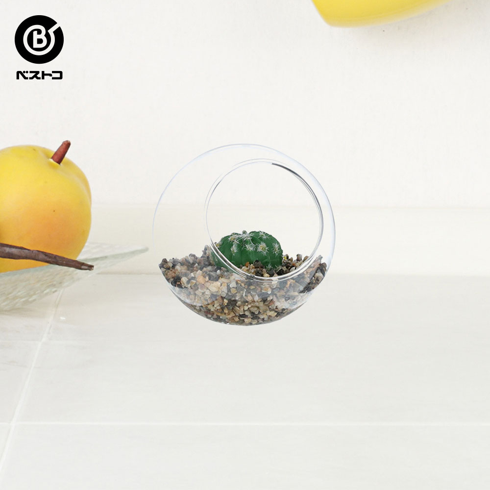 新生活 フェイク テラリウムグリーン グラス横 １ 観葉植物 壁掛け 壁かけ ミニ 人工観葉植物 造花 多肉植物 ガラス ガラス鉢 小さい インテリアグリーン おしゃれ プレゼント ギフト コンパクト セット 人工 鉢 グリーン インテリア 植物 新生活 Cmdb Md