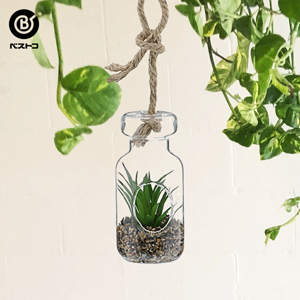 楽天市場 フェイク テラリウムグリーン ハンギングボトル ２ 観葉植物 壁掛け ミニ 人工観葉植物 多肉植物 小さい インテリアグリーン おしゃれ プレゼント ギフト コンパクト セット 人工 グリーン インテリア フェイクグリーン 吊り下げ 人工植物 テラリウム