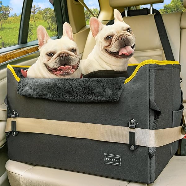 【貨物輸送無料】犬 運転 運転ボックス席 2重の安定した心積もり 席にしっかりくっ付けるできる 【座り台の高さが自然調整できる印字機】運転居敷き 車 鉄道車両居敷き 運転臥榻 安定した パウダーコンパクト 飛び出し押しとどめる 折り畳み能力のある しっかり 省あき場所 オックスフォード