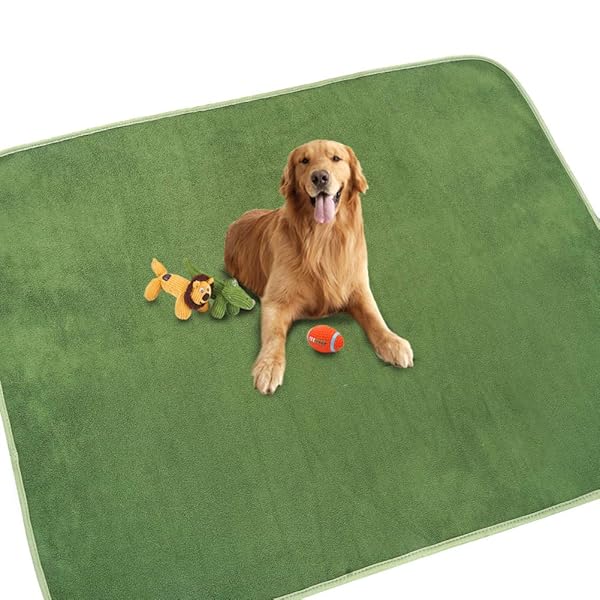 【貨物輸送無料】犬 猫用洗える愛玩動物敷き妙 立ち小便パッド 愛玩動物用 下敷き 引っ敷き 速乾 上滑り打ち切り産業 介護敷き妙 洗い濯ぎ機で丸洗い 繰り返し当て嵌める能力のある（緑であること182x182糎 2枚仕掛ける）