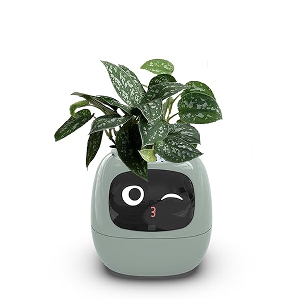 【貨物輸送無料】Ivyスマートプランター かっこ良い世話をする＆かっこ良い愛玩動物 LED画面 かっこ良い老人ホーム役立つこと積み上げる 観葉草木鉢 ミニ 鉢 室内装飾緑であること 御部屋飾りつけ 小型＆軽さ 好いたらしい今めかしい 差し上げ物 日本語取りまわし言いあらわす書【草木属するありません】(緑)