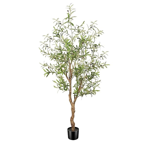 【送料無料】フェイクオリーブの木 【高さ183cm】人工観葉植物 観葉樹 光触媒 大型フェイクグリーン 室内 インテリアグリーン 消臭 本物そっくり おしゃれ 鉢付き リビング オフィス プレゼント用 玄関装飾にも｜ロイヤルアース2025