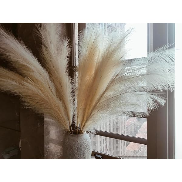 楽天市場】パンパスグラス 6本SET まとめ買い送料無料 インテリア