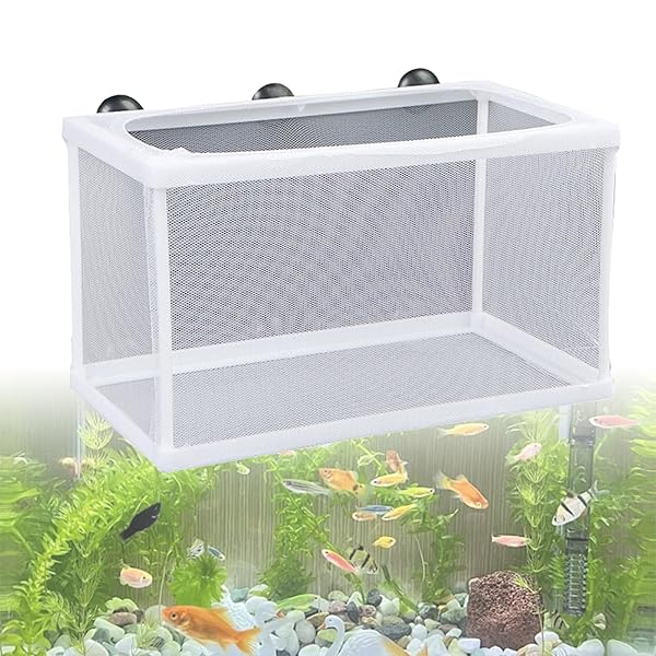 楽天市場】【送料無料】FujiFrugal 魚 繁殖隔離ボックス 産卵ケース 1 