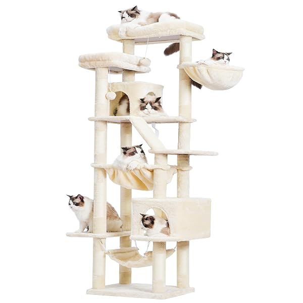 楽天市場】【送料無料】ボンビアルコン キャットウォーク キャット