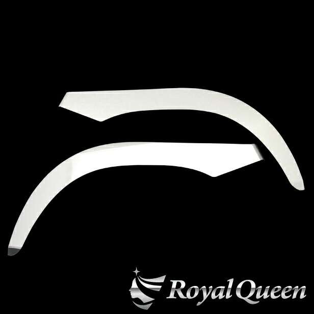 0645 日野 旧プロフィア テラヴィ フェンダーパネル ステンレス 鏡面 imgrc0075925217.jpg