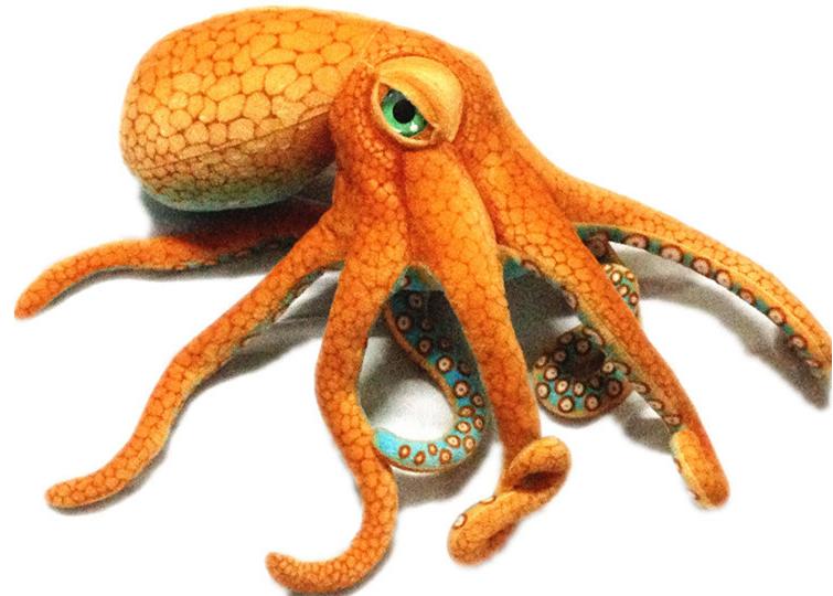 楽天市場】大人気、BIGぬいぐるみ 【ヒョウモンダコ】蛸海を感じる
