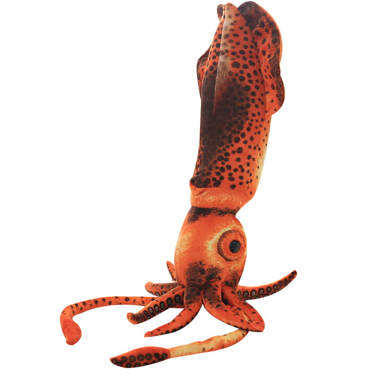 楽天市場】ダイオウイカ Sサイズ ぬいぐるみ ボールチェーン付