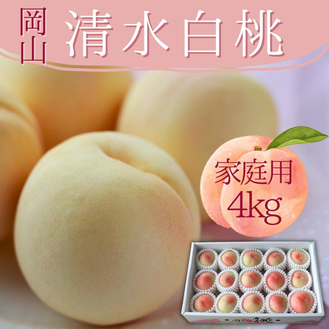 【父の日 フルーツ ギフト】桃 清水白桃 岡山 4kg ご家庭用 しみずはくとう 加工用 訳あり 誕生日プレゼント おしゃれ 御祝 御礼 誕生日 お父さん グルメ 感謝 メッセージカード|ワイン ぶどう 桃 ギフトのRQM