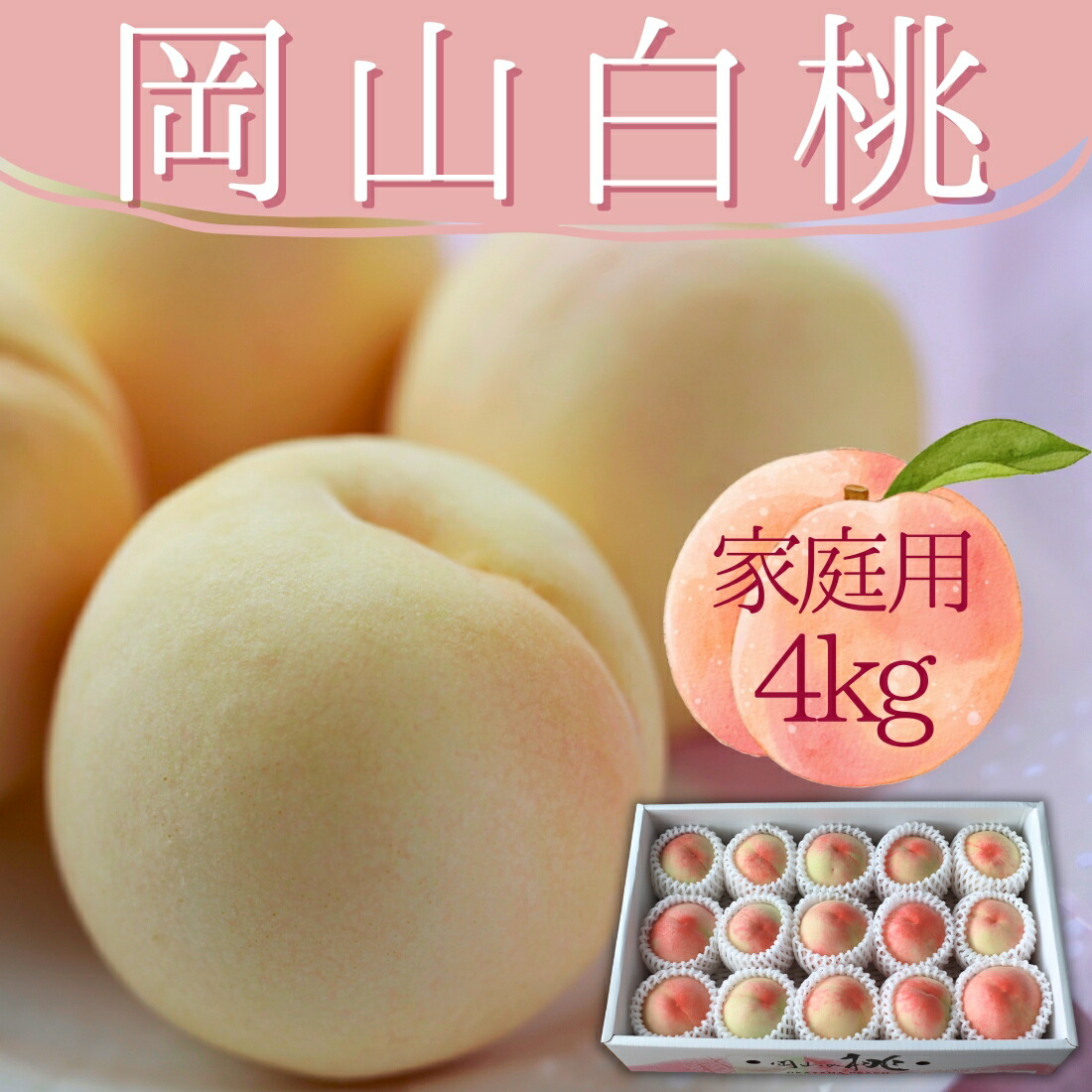 【25日最大Ｐ15倍】父の日 フルーツ 岡山 白桃 4kg 桃 ご家庭用 白鳳 はくほう 白麗 はくれい 瀬戸内白桃 加工用 訳あり プレゼント おしゃれ  誕生日 メッセージ