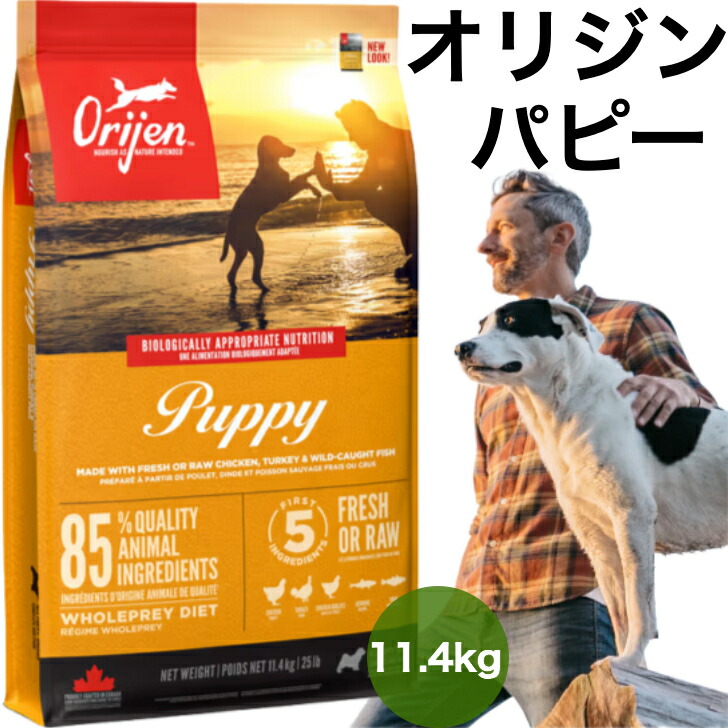 【置き目品】カナダ産 開びゃく パピー 11.4kg Orijen dogfood puppy