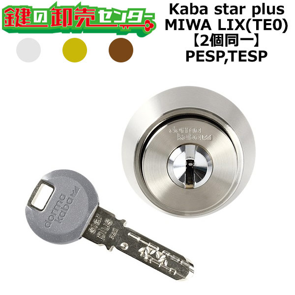 Kaba star plus,カバスタープラス PESP,TESP 鍵交換用 MIWA LIX(TE0) 2個同一シリンダー 鍵(カギ) 交換 取替